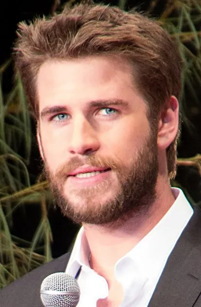 Liam Hemsworth actor of Triangle movie